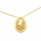 גן סוקולנטים