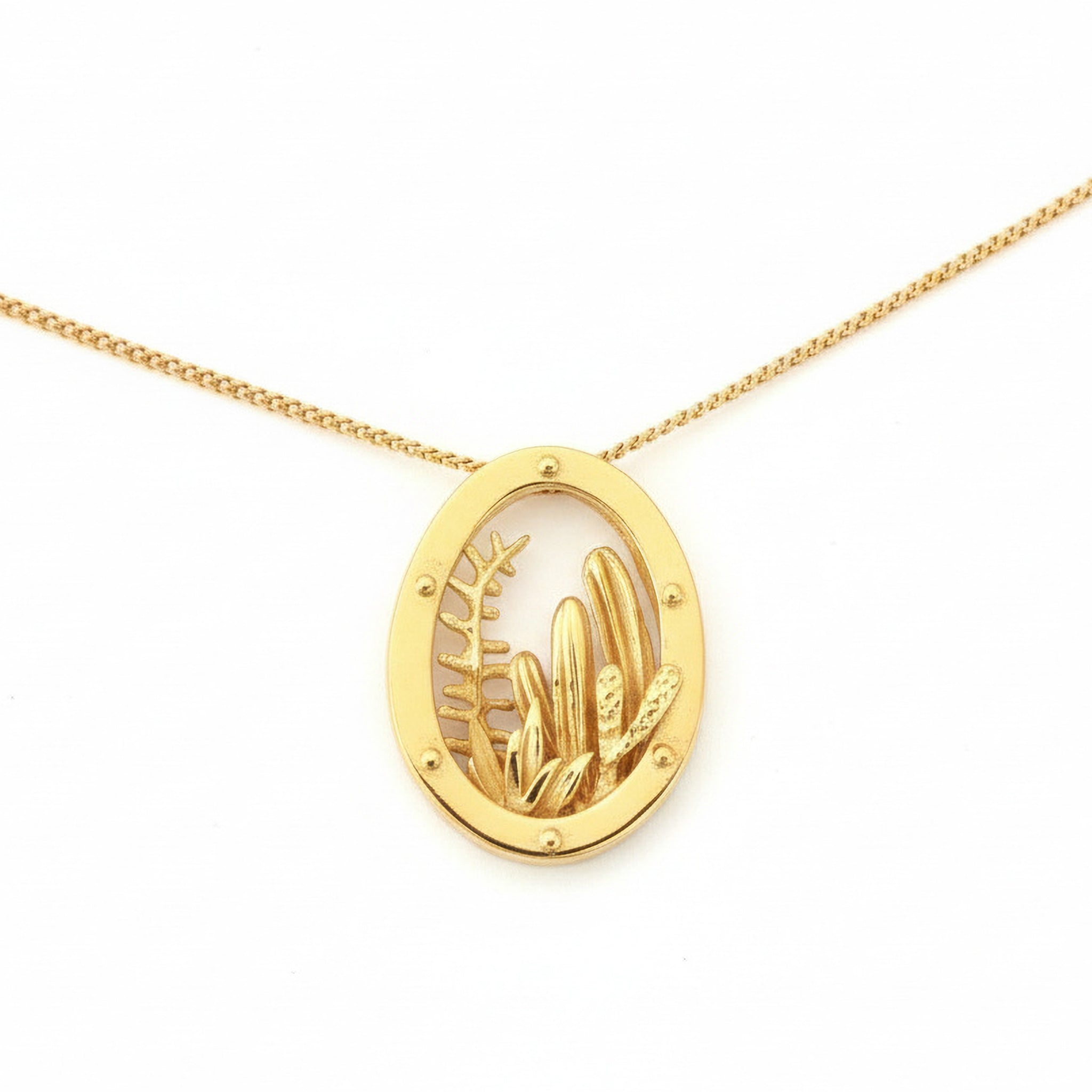 גן סוקולנטים